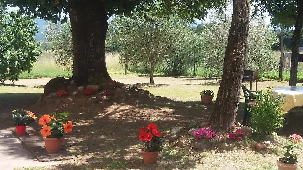 Azzurre Beb Bed & Breakfast Laterina